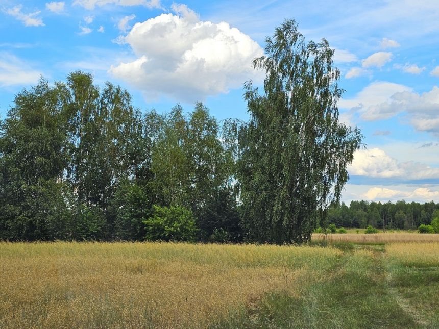 Działki rolne, Leszkowice, gm. Ostrówek miniaturka 8