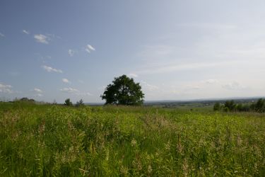 Widokowa działka budowlana Łukowa- gm. Lisia Góra!