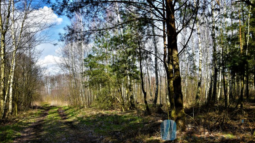 Ludwinów, 93 375 zł, 12.45 ar, droga dojazdowa gruntowa miniaturka 3