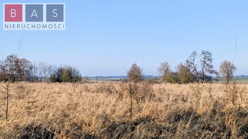 Zamęcin, 89 000 zł, 2.2 ha, rolna miniaturka 4