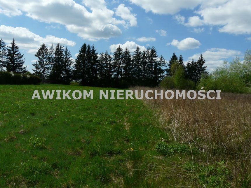 Mokra Lewa, 149 000 zł, 25.94 ar, woda w drodze miniaturka 4