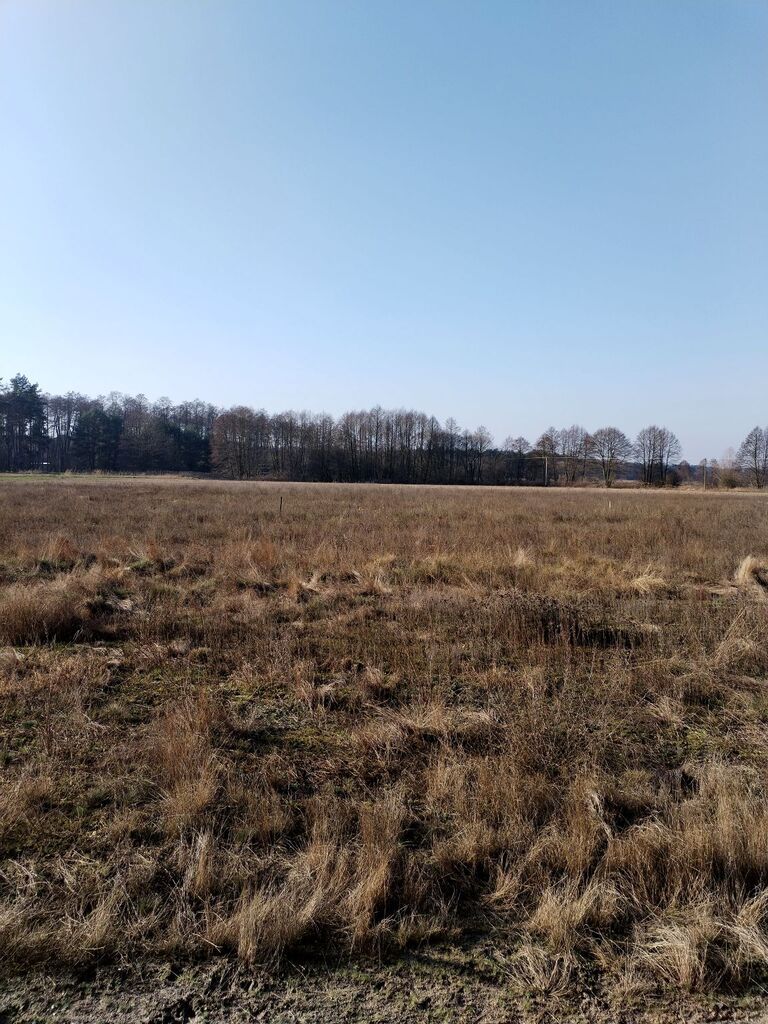 Zarośle Cienkie, 180 000 zł, 20.93 ar, budowlana miniaturka 5