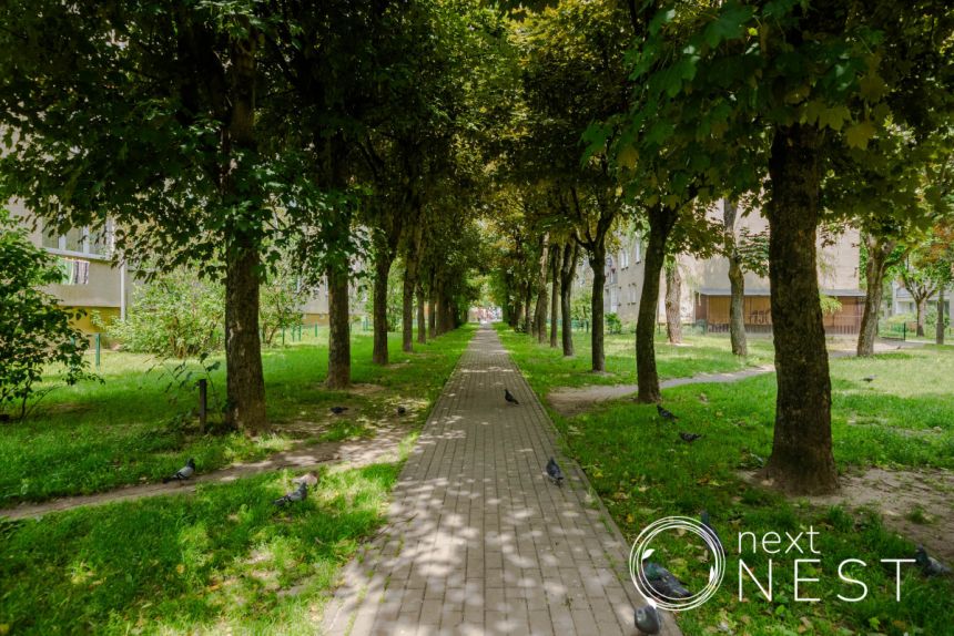 Piaseczno, 500 000 zł, 36 m2, pietro 1 miniaturka 16