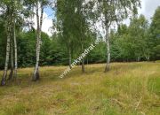 Działka Budy Grzybek 3000 m2 miniaturka 4
