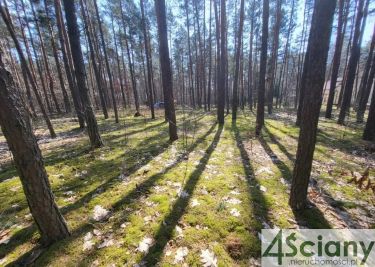 Siestrzeń, 440 000 zł, 17.31 ar, droga dojazdowa utwardzona