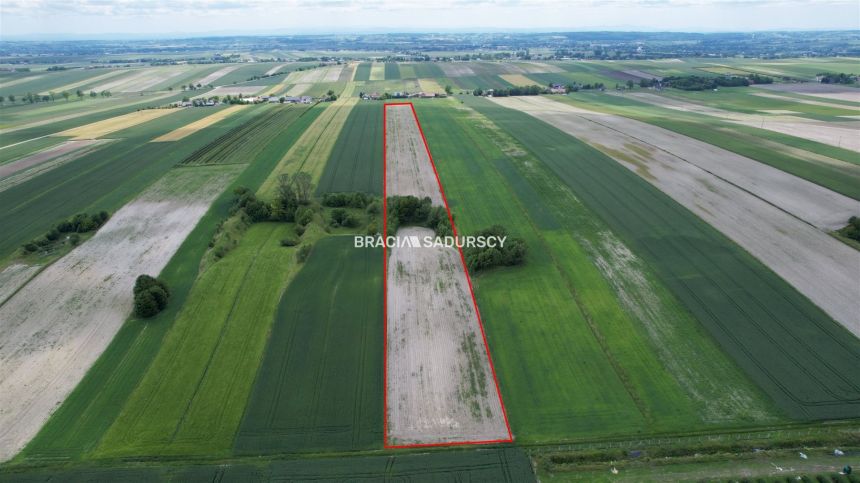 Prandocin-Iły, 287 000 zł, 3.05 ha, rolna miniaturka 2