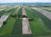Prandocin-Iły, 287 000 zł, 3.05 ha, rolna miniaturka 2