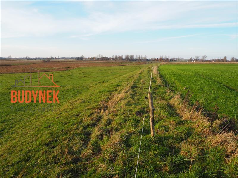 Działka rolna - Krupy miniaturka 13