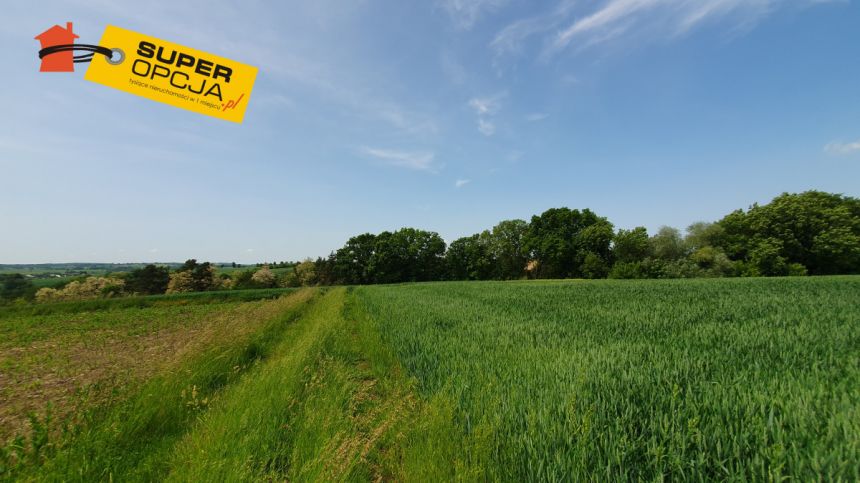 Szczepanowice, 649 000 zł, 53.3 ar, rolna miniaturka 5