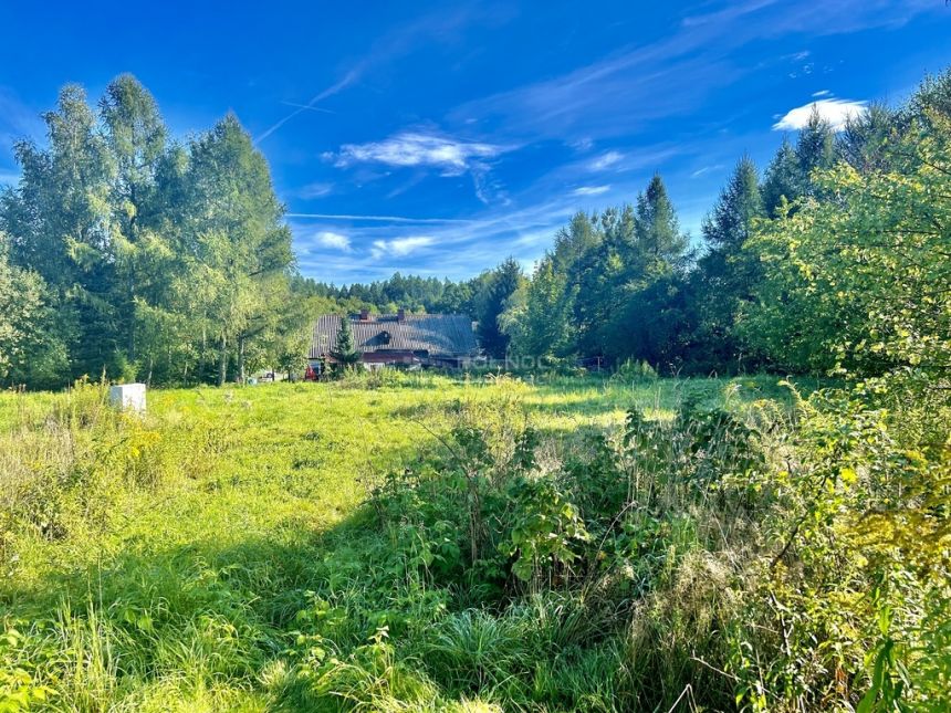 Widokowa działka w Kostrzycy gmina Mysłakowice. miniaturka 4