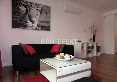 Bielsko-Biała Kamienica, 4 500 zł, 118 m2, umeblowany