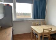 mieszkanie Trzebień 44,70 m2, balkon miniaturka 4