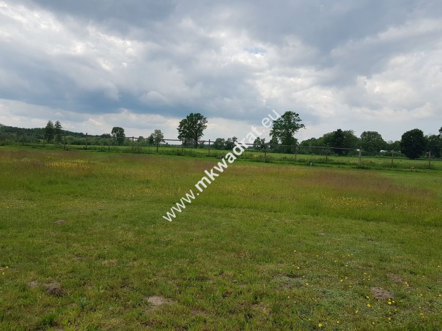 Ustawna działka 1500m2 w cichej okolicy 45m x 33m - zdjęcie 1