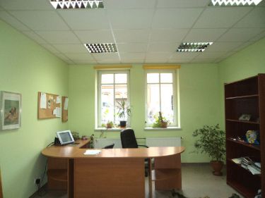 Świebodzice, 700 zł, 22 m2, biurowy