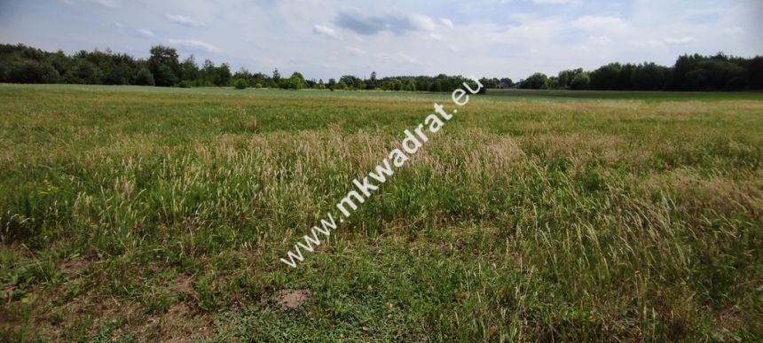 Wyjątkowa Działka rolna do podziału na budowlane! miniaturka 6