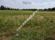 Wyjątkowa Działka rolna do podziału na budowlane! miniaturka 6