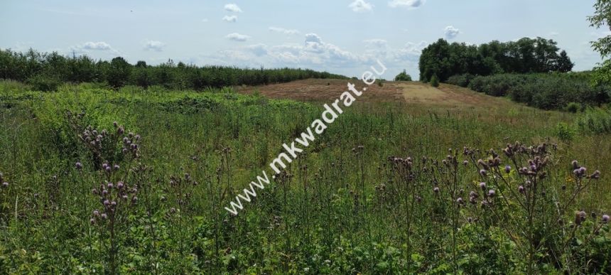 Działka z warunkami zabudowy !!!! - zdjęcie 1