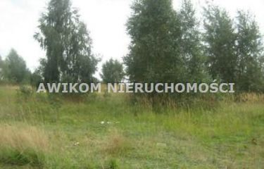 Bramki, 600 000 zł, 15 ar, budowlana