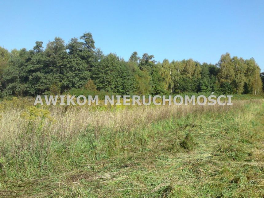 Grodzisk Mazowiecki, 599 000 zł, 1.01 ha, siedliskowa miniaturka 3