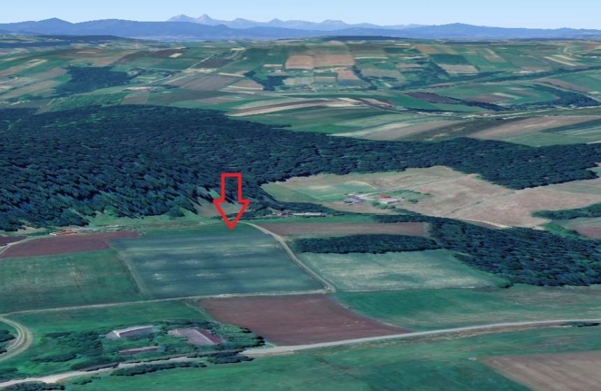 Działka siedliskowa- 99 arów- Beskid Sądecki miniaturka 3