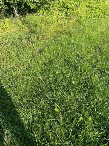 Rusinowo, 36 000 zł, 3 ar, rolna