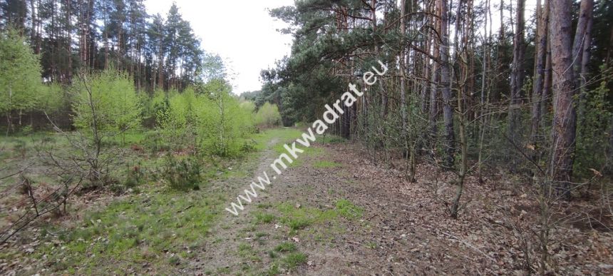Piękna działka otoczona lasem 2 316 m2, Czarny las miniaturka 7