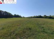 Działki  pod lasem  ok 8 km od Wałbrzycha miniaturka 8