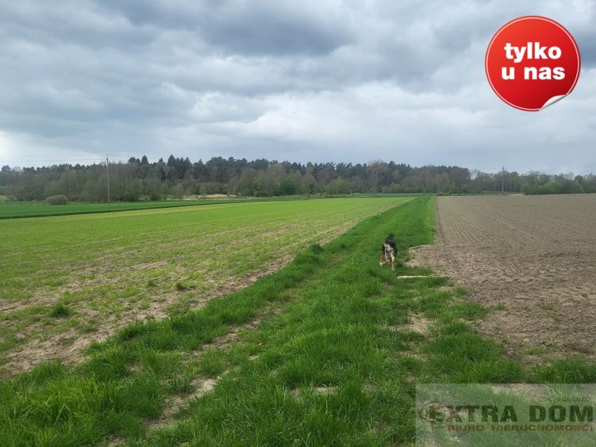 Mokre, 61 000 zł, 2.05 ha, rolna miniaturka 2