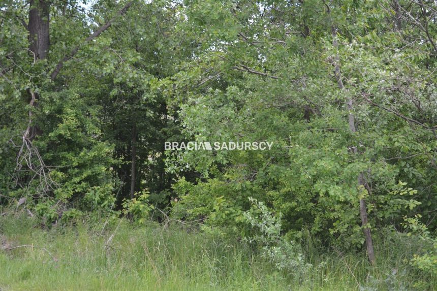 Działka budowlano-rolna o pow.: 1622 m2 miniaturka 13