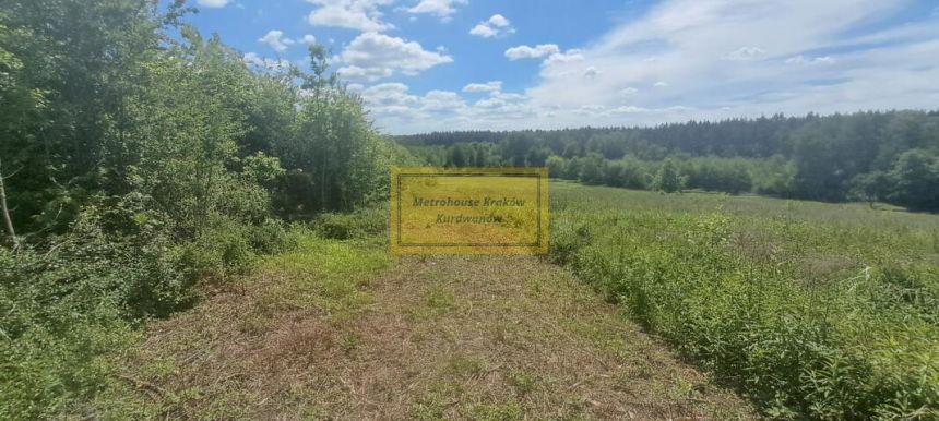 Działka Rolna | Skotnicka | z Drogą miniaturka 6