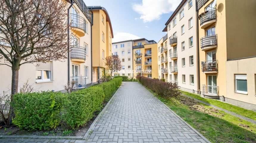 PRZESTRONNE, SŁONECZNE, ZADBANE 3-POKOJOWE miniaturka 19