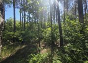 kształtna, przy bocznej uliczce, przy lesie miniaturka 11