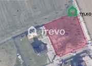 Lisewiec, 371 070 zł, 13.02 ar, przyłącze prądu miniaturka 11