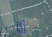 Stanisławice, 849 200 zł, 84.92 ar, droga dojazdowa utwardzona miniaturka 2