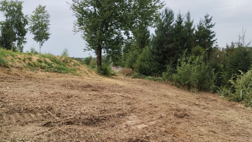 Sułków, 242 000 zł, 9.68 ar, droga dojazdowa utwardzona miniaturka 3