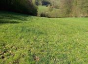 Działka budowlana przy lesie, ok 1 km od jeziora miniaturka 6