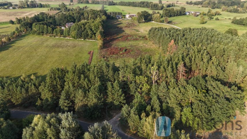 Bieliny, 500 000 zł, 2.49 ha, droga dojazdowa asfaltowa miniaturka 5