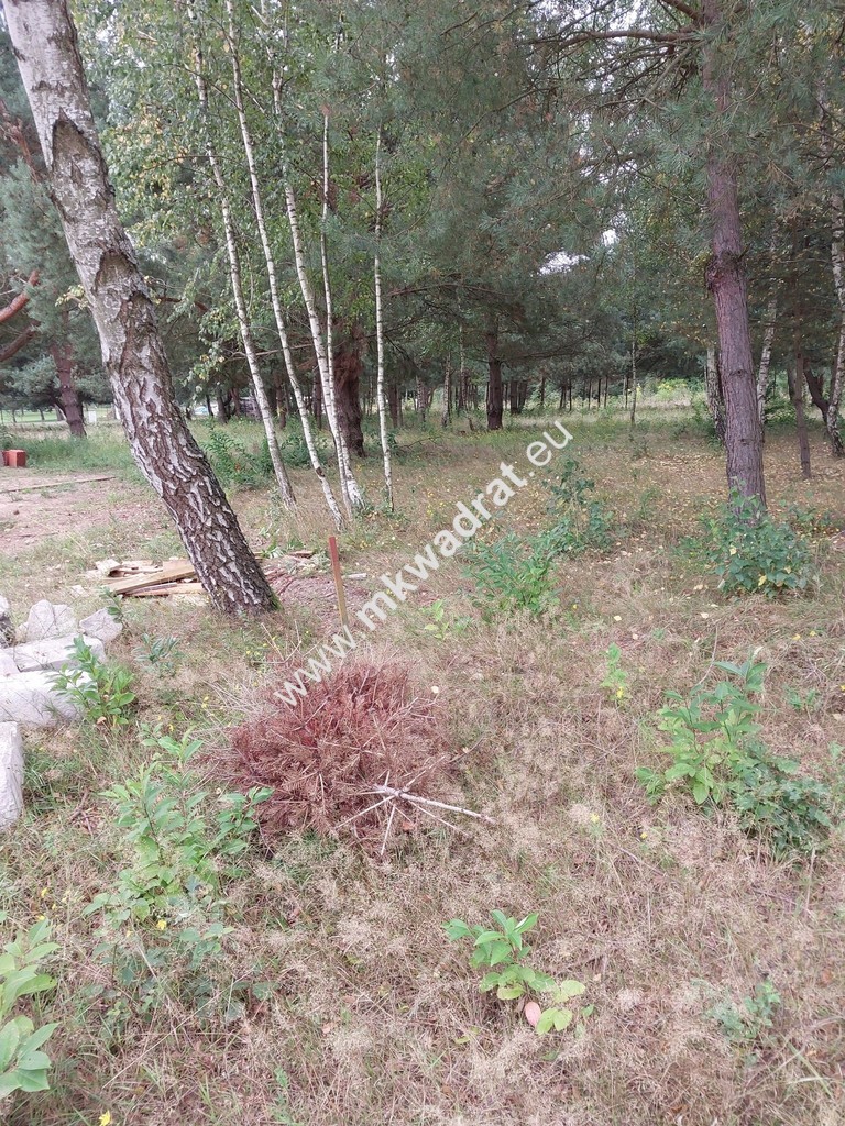 Działka, cicha, MPZP, Osowiec miniaturka 5