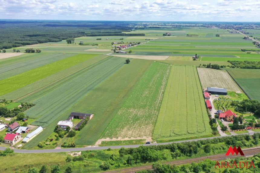 Na sprzedaż – Działki rolne w Gołaszewie miniaturka 3