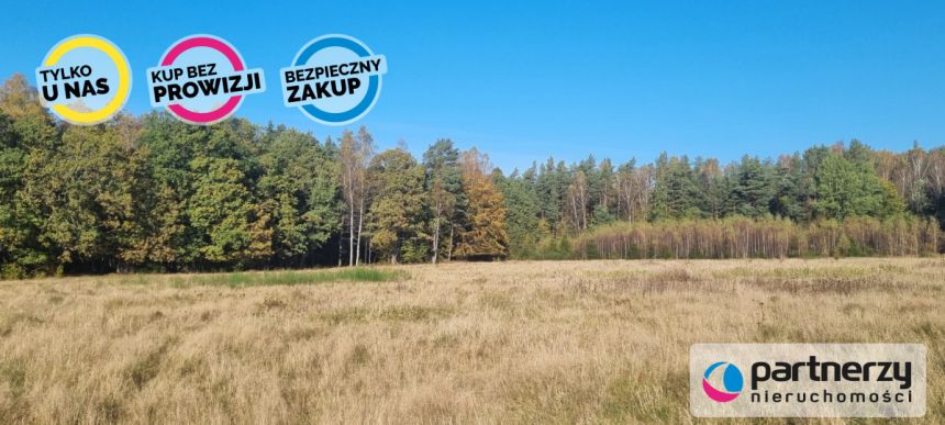 Bieszkowice, 500 000 zł, 2.69 ha, siedliskowa miniaturka 7