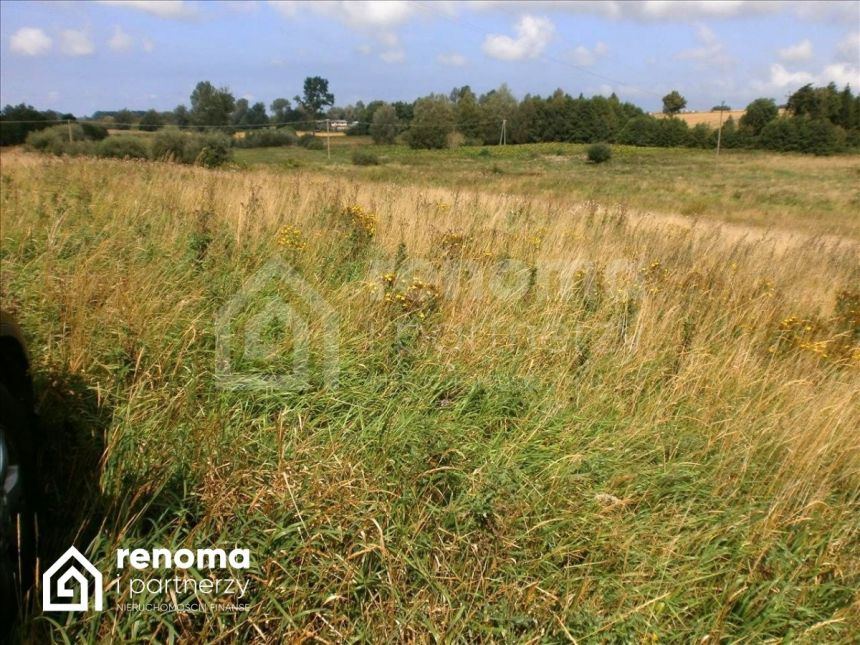 Ińsko, 3 900 000 zł, 100 ha, droga dojazdowa asfaltowa miniaturka 3