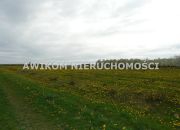 Wycinka Wolska, 124 020 zł, 1.03 ha, droga dojazdowa asfaltowa miniaturka 9