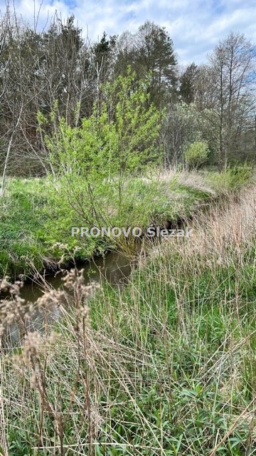 Sprzedam działki budowlane koło Trzebnicy miniaturka 2