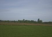 Koczargi Stare, 701 690 zł, 63.79 ar, prostokątna miniaturka 8