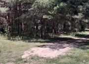działka z linią brzegową -Pasym miniaturka 11