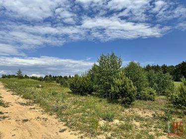 Niewodnica Kościelna, 260 000 zł, 10 ar, prostokątna