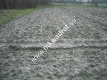 Juliopol, 179 000 zł, 42 ar, budowlana