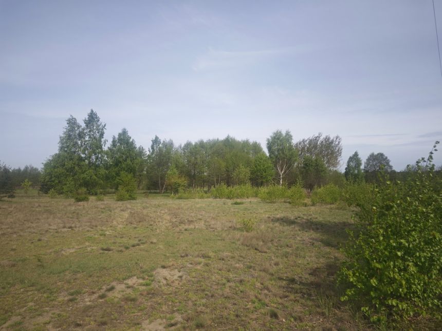 Koczargi Stare, 701 690 zł, 63.79 ar, prostokątna - zdjęcie 1