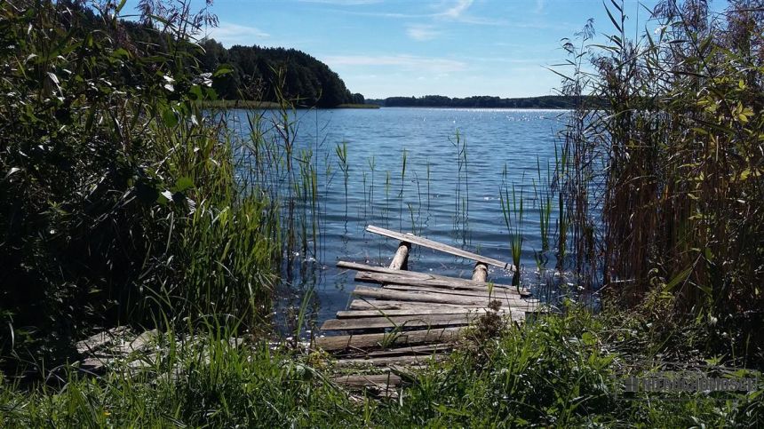 Działka pod lasem w pobliżu jeziora miniaturka 7