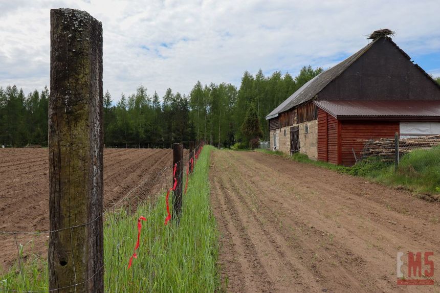 Walne, 101 000 zł, 11.12 ar, budowlana miniaturka 3